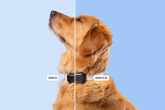 Tractive Smart Dog Tracker