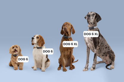 Tractive Smart Dog Tracker
