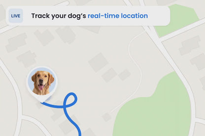 Tractive Smart Dog Tracker